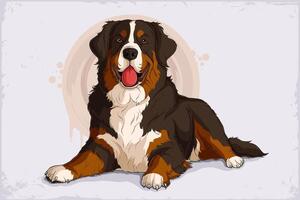 Hand drawn cute brown Swiss Bernese mountain dog lying down and panting isolated on white background vector