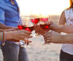 People holding glasses of red wine making a toast at the beach photo