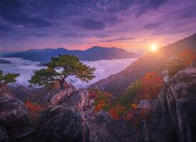 Autumn in Korea, Pine trees towering on the rocks atop Jebibong. In the morning, a sea of mist flows through the river in the valley In the autumn of Waraksan Mountain National Park, South Korea. photo