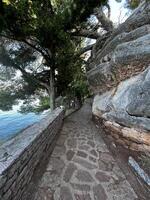 A stone path leads to the sea photo