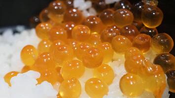 Close up of sashimi salmon roe with rice bowl or donburi in Japanese style food. photo