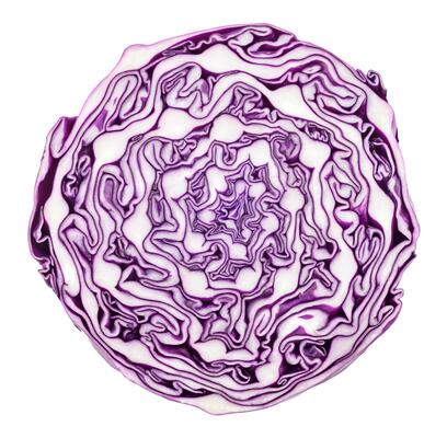 Purple cabbage isolated on white background.