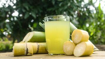 Drink from sugar cane juice, squeezed sugar cane juice with sugar cane stalks and natural background photo