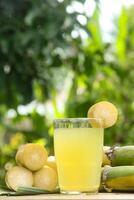 Drink from sugar cane juice, squeezed sugar cane juice with sugar cane stalks and natural background photo