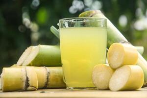 Drink from sugar cane juice, squeezed sugar cane juice with sugar cane stalks and natural background photo