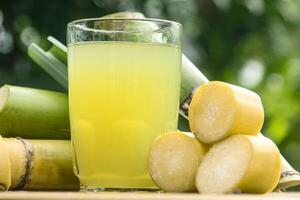 Drink from sugar cane juice, squeezed sugar cane juice with sugar cane stalks and natural background photo