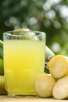 Drink from sugar cane juice, squeezed sugar cane juice with sugar cane stalks and natural background photo