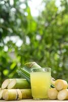 Drink from sugar cane juice, squeezed sugar cane juice with sugar cane stalks and natural background photo