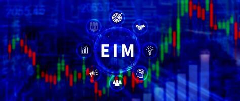EIM Enterprise information management system, EIM Global Network with Analyzing Technological Data, Efficient Information Management, Network Connection. photo