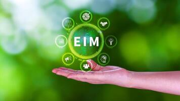 EIM Enterprise information management system, EIM Global Network with Analyzing Technological Data, Efficient Information Management, Network Connection. photo