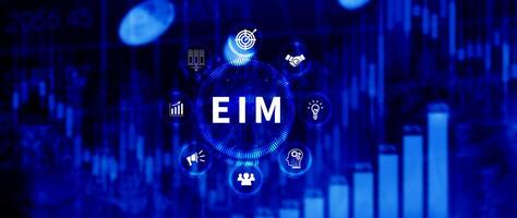 EIM Enterprise information management system, EIM Global Network with Analyzing Technological Data, Efficient Information Management, Network Connection. photo