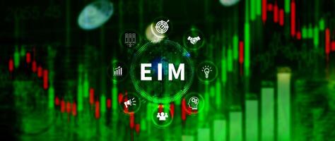 EIM Enterprise information management system, EIM Global Network with Analyzing Technological Data, Efficient Information Management, Network Connection. photo
