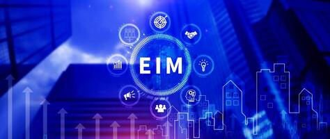 EIM Enterprise information management system, EIM Global Network with Analyzing Technological Data, Efficient Information Management, Network Connection. photo