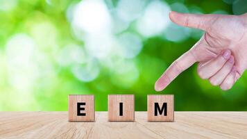 EIM Enterprise information management system on wooden cubes, EIM Global Network with Analyzing Technological Data, Efficient Information Management. photo