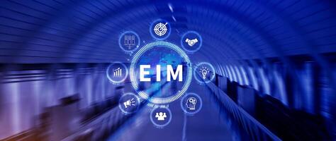 EIM Enterprise information management system, EIM Global Network with Analyzing Technological Data, Efficient Information Management, Network Connection. photo