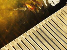 A group of fish swimming in a pond. The pond is surrounded by a metal boardwalk. The fish are swimming in the water and the boardwalk is visible in the foreground photo