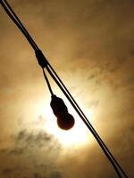 A light bulb hanging from a wire. The sun is shining on it. The light bulb is the only thing in the picture photo