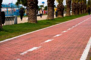 Bicycle walking area, bike path photo