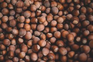 Hazelnuts in a wooden bowl on rustic background, Hazelnut background with green leaf photo
