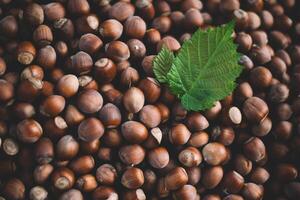Hazelnuts in a wooden bowl on rustic background, Hazelnut background with green leaf photo