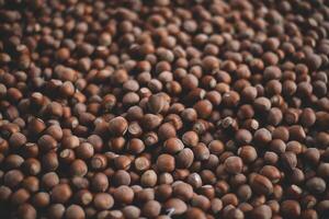 Hazelnuts in a wooden bowl on rustic background, Hazelnut background with green leaf photo