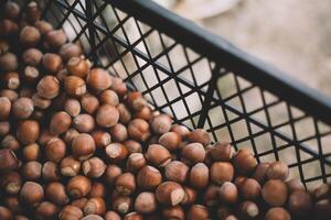 Hazelnuts in a wooden bowl on rustic background, Hazelnut background with green leaf photo