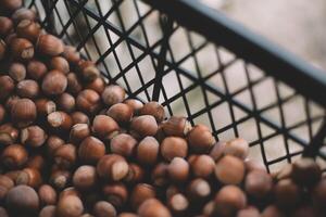 Hazelnuts in a wooden bowl on rustic background, Hazelnut background with green leaf photo