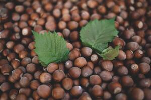 Hazelnuts in a wooden bowl on rustic background, Hazelnut background with green leaf photo