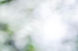 ,blur picture or blur background,bokeh photo