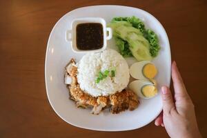 crispy pork and rice or rice topped with crispy pork with boiled egg and sauce photo