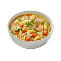 A bowl of chicken noodle soup with carrots and parsley png