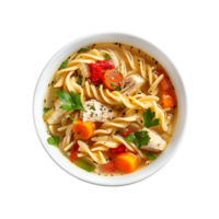 A bowl of chicken noodle soup with vegetables png
