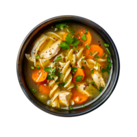 A bowl of chicken noodle soup with carrots and herbs png