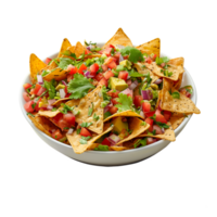 A bowl of nachos with tomatoes, onions and cilantro png