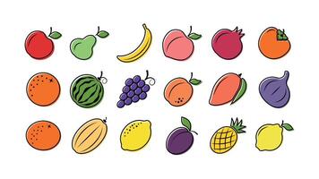 Set of icons depicting fruits on a white background vector