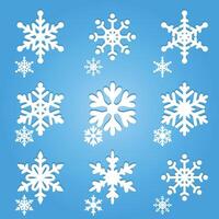 Collection of snowflakes on a blue background vector