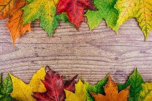 Autumn background with colorful fall maple leaves on rustic wooden table. Thanksgiving holidays concept. Green, yellow and red autumn leaves. Top view. photo