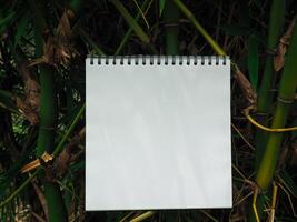 Notebook with leaves in the garden for copy space photo