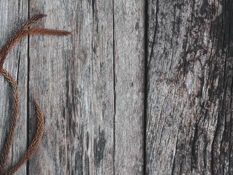 Brown dry pine leaves on old wood for a retro style background. photo