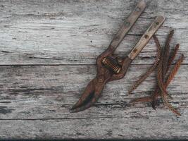 Rusty pruning tools on old wood for vintage style background photo