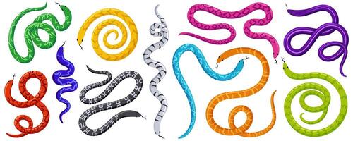 Set of exotic tropical snakes in different poses. Cartoon flat illustrations vector