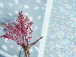 Pink dried flowers on reflection from window for minimalist background photo