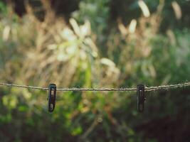 Brown rope on blurred grass background in the garden for copy space photo