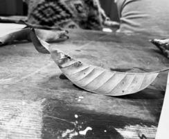 a leaf on a table with a dramatic effect photo