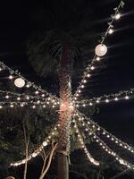 a wedding party is sitting under string lights photo