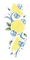 Lemon slices, splashes, leaves and ice cubes. Dynamic liquid water with citrus fruits. Isolated hand drawn watercolor illustration for menu, packaging of goods, advertisement vector