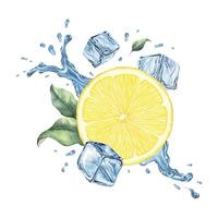 Lemon slices, splashes water, leaves and ice cubes. Dynamic cold liquid with citrus fruits. Isolated hand drawn watercolor illustration for menu, packaging of goods, advertisement vector