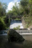A cascade of water falling from a small dam with bamboo grove in the background. photo