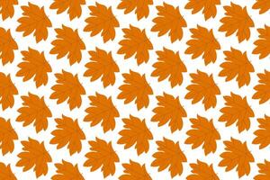 Maple leaf seamless pattern background for canada day vector