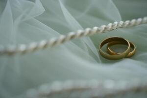 Two wedding rings on a white background photo